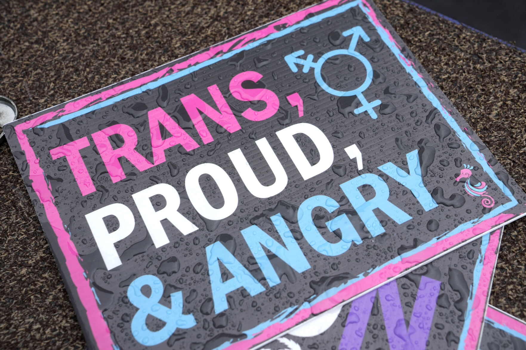 Transgender Seniors